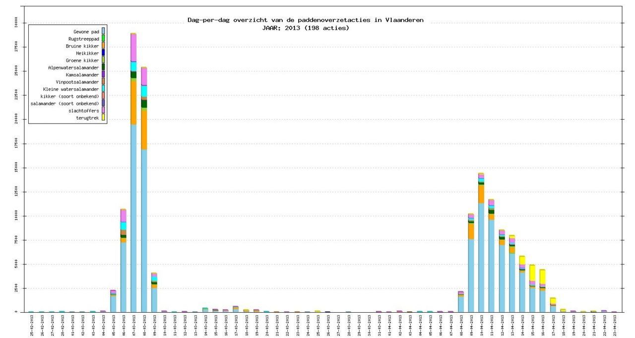 In 2013 werd de grote paddentrek gekenmerkt door een zeer korte explosie, een lange aanhoudende winterprik en een zeer late tweede trekgolf midden april (bron: Hyla)