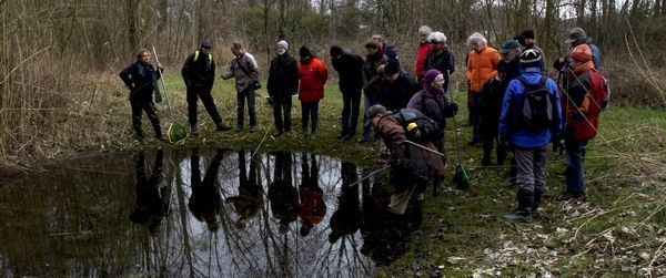 Veel belangstelling in Utrecht voor soorten in poelen en beheer ervan (foto: Kars Veling)