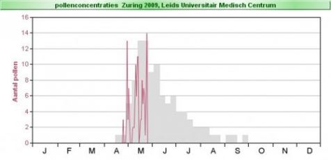 Pollenconcentraties zuring t/m eind mei 2009