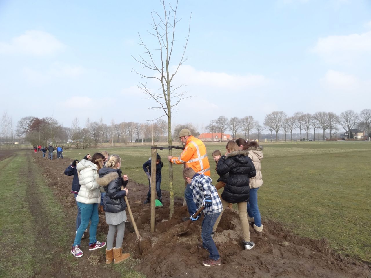 Scholieren planten in Laarbeek lindebomen aan tijdens de boomplantweek. Ook fruitbomen en struwelen werden gepoot (foto: Landschapsbeheer Nederland)