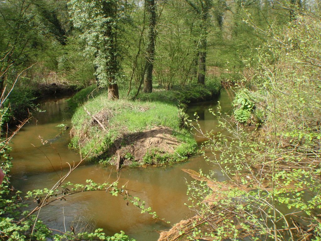 De Reusel (foto: Frank Spikmans)