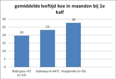 Gemiddelde leeftijd koe bij geboorte eerste kalf (figuur: FREE Nature)