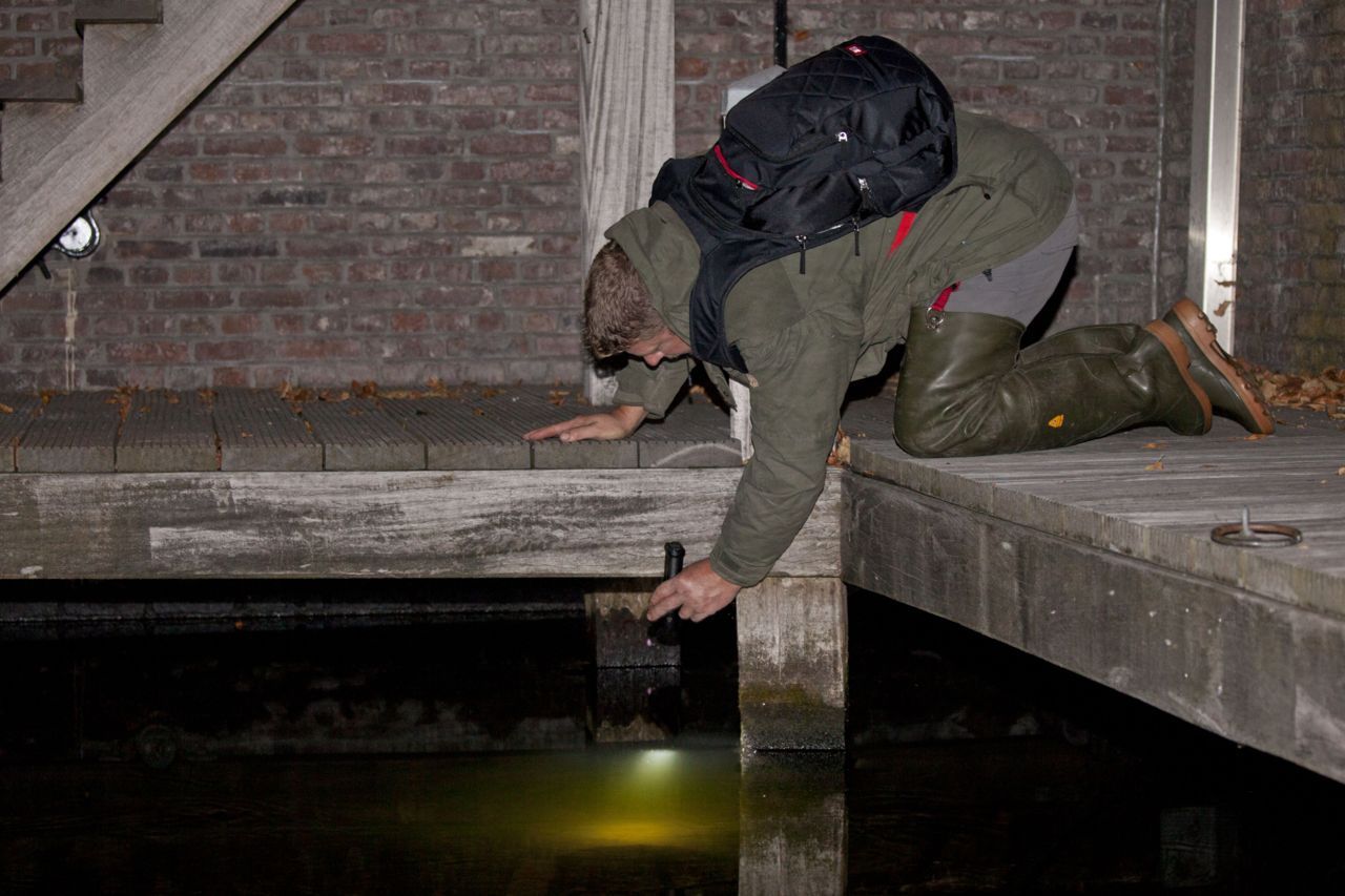 Met zaklamp op zoek naar rivierdonderpad (foto: Jelger Herder)