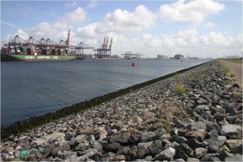 ‘Rotsbiotoop’ op de Maasvlakte (foto: Jinze Noordijk)