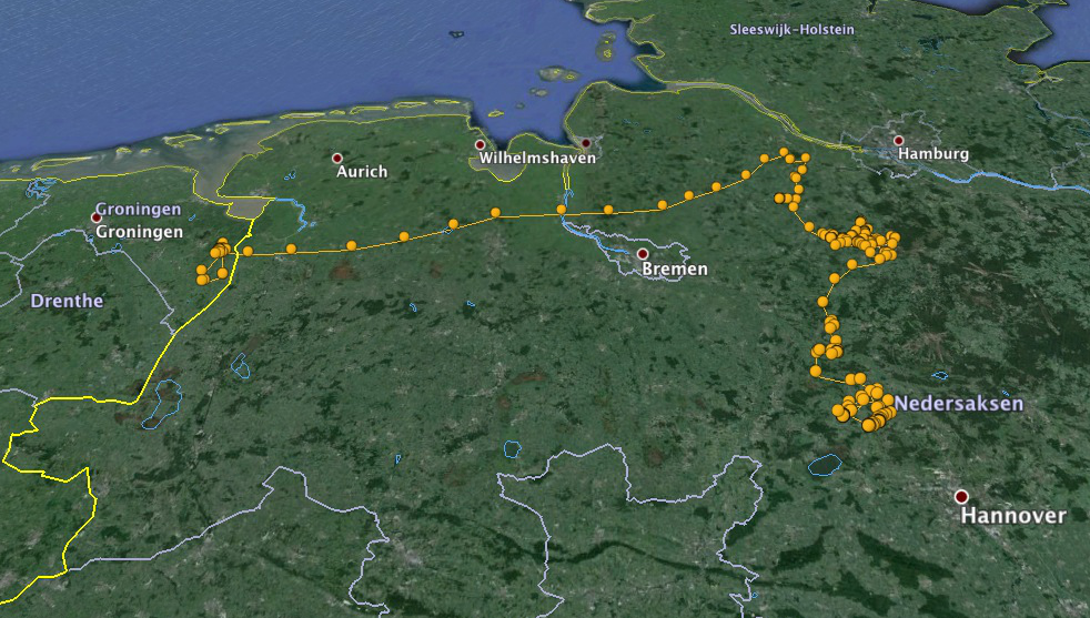 De route die ’Ronny’ in een week aflegde, nadat hij in Oost-Groningen zijn logger kreeg (kaart: Werkgroep Grauwe Kiekendief)