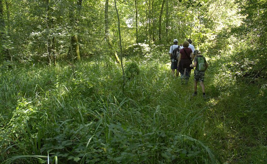 Wandelen in de natuur bevordert de creativiteit (foto: Eric Malfait)