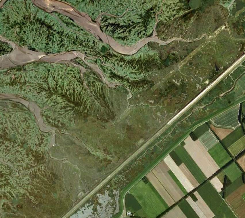 Rechtsonder: Hedwigepolder; linksboven: stuk Verdronken land van Saeftinge (foto: Google Earth)