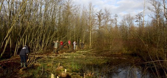 Nog heel wat kapwerk te doen (foto: Kars Veling)