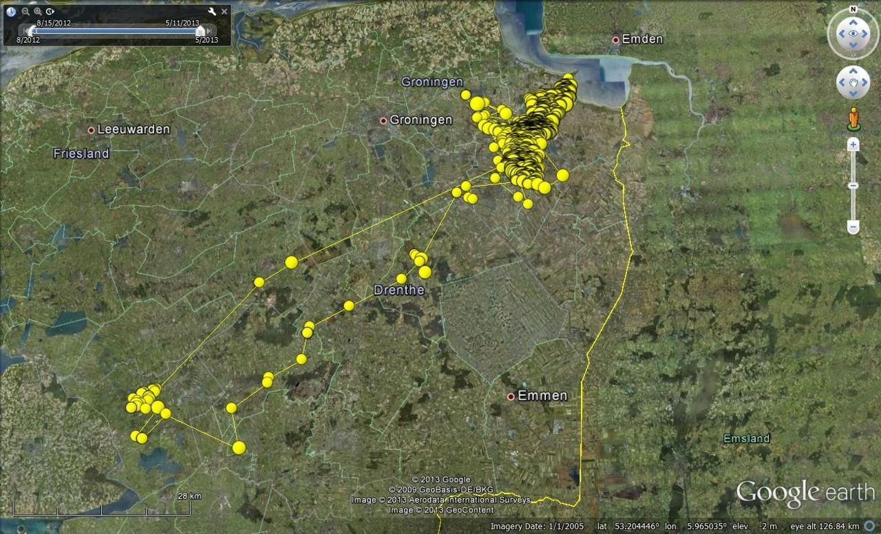 GPS-loggerdata van ’Simone’, augustus 2012 tot en met mei 2013 (kaartje: Google Earth, Werkgroep Grauwe Kiekendief)