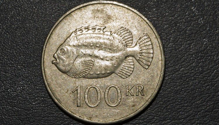 Ijslandse 100Kr. munt met afbeelding Snotolf (foto: Peter H. van Bragt)