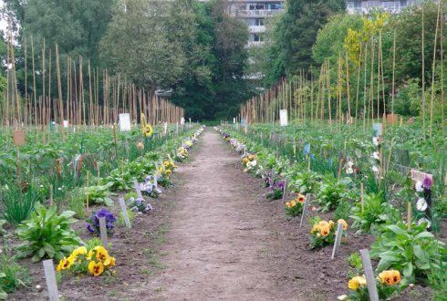 Stadslandbouw (foto: Wageningen UR)