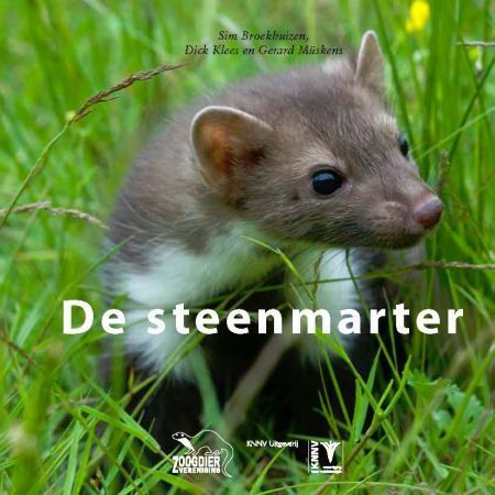 Foto: KNNV De Steenmarter