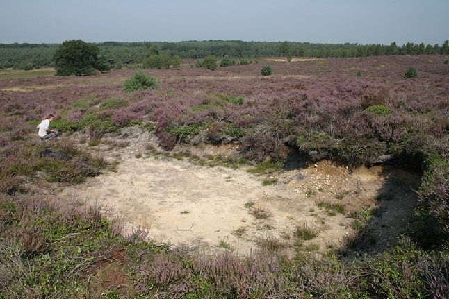 Steilrand op de Sprengenberg waar de gele tubebij is waargenomen (foto: Jinze Noordijk)