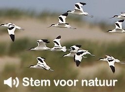 www.stemvoornatuur.nl