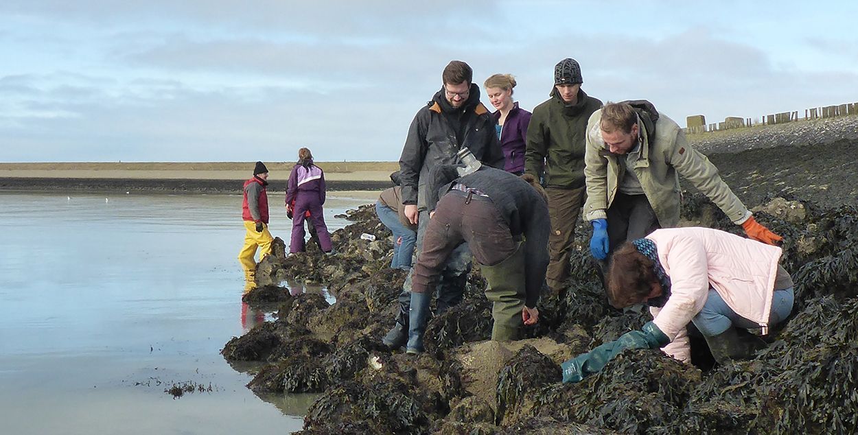 LIMP-excursie 7 februari 2015 in de noordwestelijke Oosterschelde (foto: Luna van der Loos)