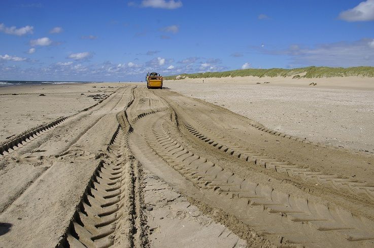 Schoonmaakacties op het strand verwijderen een soortenrijke levensgemeenschap van de vloedmerk (foto: Sytske Dijksen)