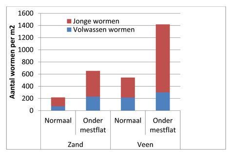 Wormen onder mestflatten. Het maximum aantal wormen onder gras op zandgrond (normaal zand), onder mestflat op zandgrond (zand onder mestflat), gras op veengrond (normaal veen) en mestflat op veengrond (veen onder mestflat) per vierkante meter (tabel: Nick van Eekeren)