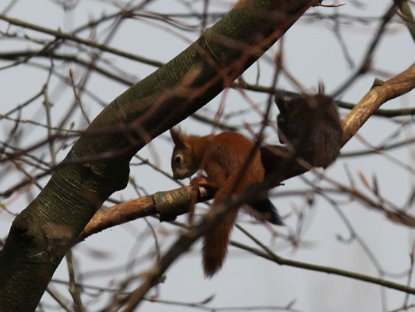 Takken ontdekken (foto: Henni van der Zanden)