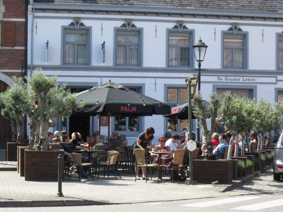 Het zuiderse terras van deze Meerhoutse zaak trok heel wat bezoekers, en ook twee onverwachte soorten. (foto: Eddie Lavreys)