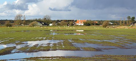 Het is erg nat op Texel (foto: Foto Fitis, Sytske Dijksen)