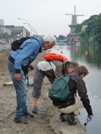 Stadsplantenexcursie in Schiedam (foto: Willemien Troelstra)