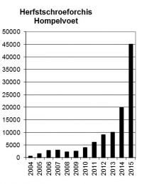 Aantalsverloop bloeiende exemplaren Herfstschroeforchis sinds de ontdekking van de populatie in 2004 (data: Kees de Kraker)
