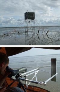 Met 4 meter hoge observatietorens op het wad en een speciaal ontwikkeld meetinstrument op de telescoop werden de posities van vogels heel nauwkeurig in kaart gebracht (foto’s: Wopke van der Heide)