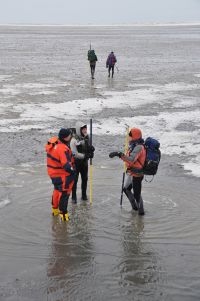 Wadlopers op het Wad (foto: Bruno Ens)