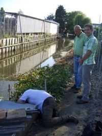 Onder toeziend oog van Gerard van Zijl en Marco Verschoor wordt het nest van de zwarte reuzenmier gefotografeerd (foto: André van Loon)