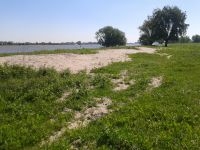 Verse zandige oeverwal in de droogvallende Beuningse Uiterwaard (foto: Marc Buchner, FREE Nature) 