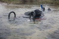 Fotograaf Blikonderwater.nl in actie tijdens het fotograferen van beekprikken (foto: Blikonderwater.nl)