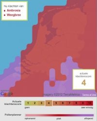 Pollenplanner voor ambrosiapollen op 4 september 2012 (bron: Allergieradar.nl)