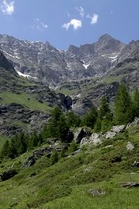 In de Alpen komen nog steeds erg veel vlindersoorten voor (foto: Kars Veling)