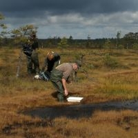 Bemonstering van fauna in hoogveenplas (foto: Gert-Jan van Duinen)