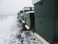 Bijenkasten in de sneeuw (foto: Bram Cornelissen)