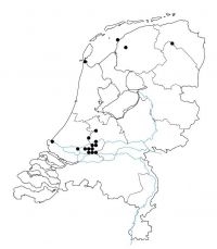 Verspreiding van de gestreepte Amerikaanse rivierkreeft (Procambarus acutus) in Nederland (bron: EIS Kenniscentrum insecten & andere ongewervelden)