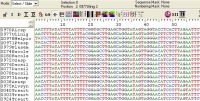 Detail van de DNA-barcode van enkele insecten (foto: J.T. Smit)