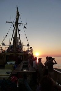 De Dageraad, de boot van waar de waarnemingen werden gedaan (foto: Wouter Teunissen)