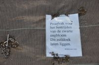 Informatie over het donkere doek (foto: Wout van der Slikke)