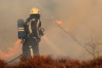 Een brandweerman vecht tegen de vlammen van een duinbrand bij Bergen aan Zee in 2010 (foto: Jelzo)
