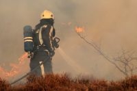 Brandweer aan het werk tijdens duinbrand bij Schoorl in 2010 (foto: Jelzo)