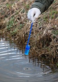 Watermonsters nemen (foto: Jelger Herder)