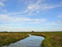 Peizer- en Eeldermaden met het Eelderdiep (foto: Gouwenaar)