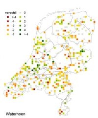 Veranderingen waterhoen tussen 1983 en 2013 (foto: Sovon)