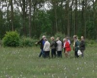 Mensen en orchideeën in de Koolmansdijk (foto: Jaap Rouwenhorst)