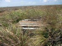 The same freshwater well on Klein Curacao as above, covered in ‘Korta-Man’ in 2013 (photo: Dolfi Debrot)