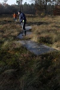 Geocachers aan het werk voor veenbesparelmoervlinder (foto: Kars Veling)