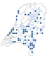 Waarnemingen gevlekte witsnuitlibel 2007 tot 2011 (lichtblauw) en nieuwe plekken in 2012 (donkerblauw; bron: NDFF)