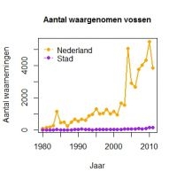 Grafiek 1: Aantal vossenwaarnemingen in heel Nederland (oranje lijn) en het aantal waarnemingen in stedelijk gebied (paarse lijn) tussen 1980 en 2011. (bron: Zoogdierdatabank, Zoogdiervereniging)