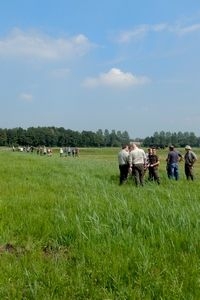 In het veld en na afloop werd er nog flink doorgepraat over insectenbeheer (foto: Kars Veling)